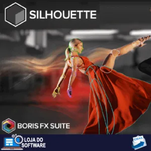 Silhouette 2024 Boris FX
